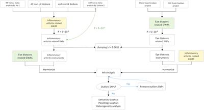 Inflammatory arthritis and eye diseases: a Mendelian randomization study